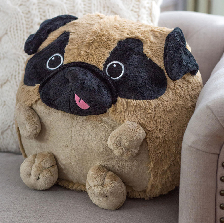 10 Unique Gift Ideas for Pug Lovers 