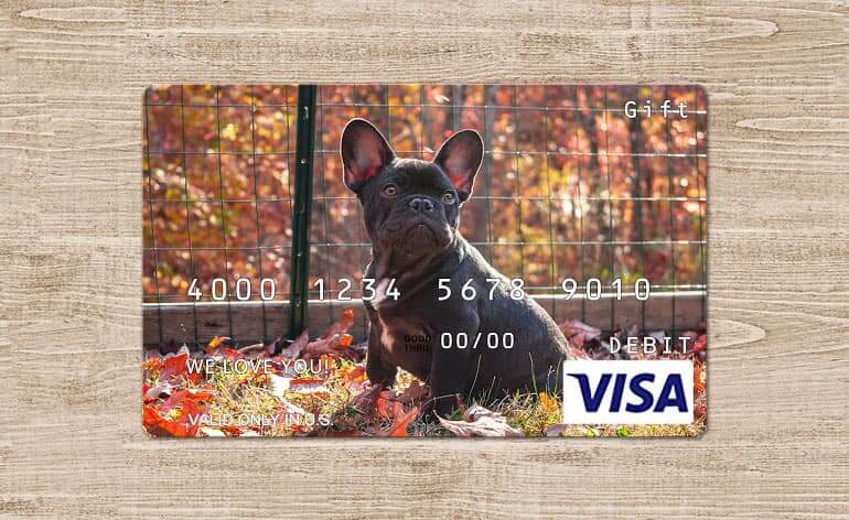 Fun Photo Ideas For Custom Visa Gift Cards Giftcards Com